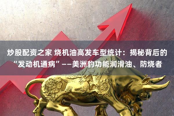 炒股配资之家 烧机油高发车型统计：揭秘背后的“发动机通病”——美洲豹功能润滑油、防烧者